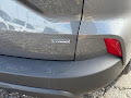 2025 Ford Escape ST-Line Hybrid