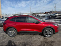 2025 Ford Escape ST-Line Hybrid