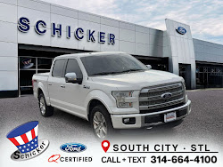 2015 Ford F-150 Platinum