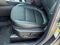 2025 Ford Escape ST-Line Hybrid