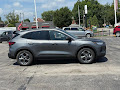2025 Ford Escape ST-Line Hybrid