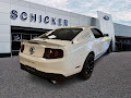 2011 Ford Mustang Shelby GT500 GT500